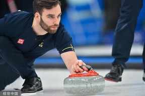 雷速-Scout遭遇二十连败，瑞士队教练面临压力！的简单介绍